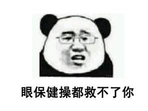 国产任你操
